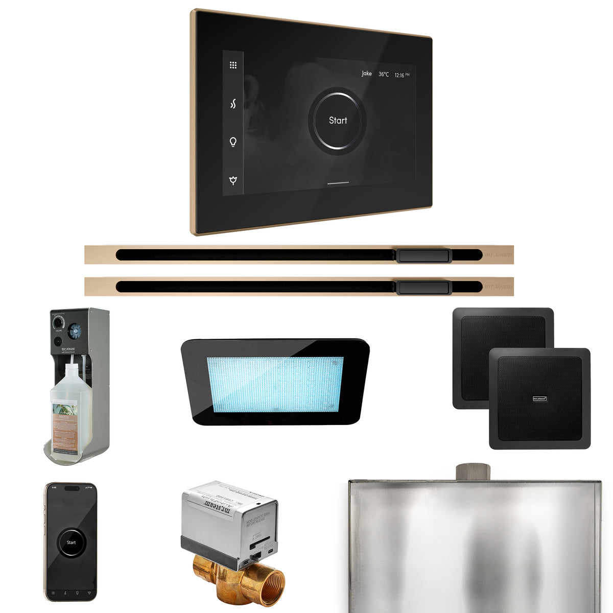 Mr.Steam XDream Max Steam Shower Control Package with iSteamX Control and Linear Steamhead
