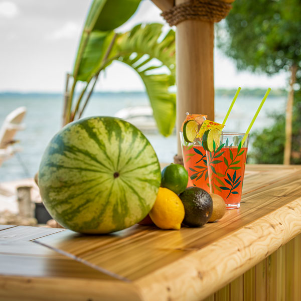 
Dundalk Tropical Paradise Tiki Bar