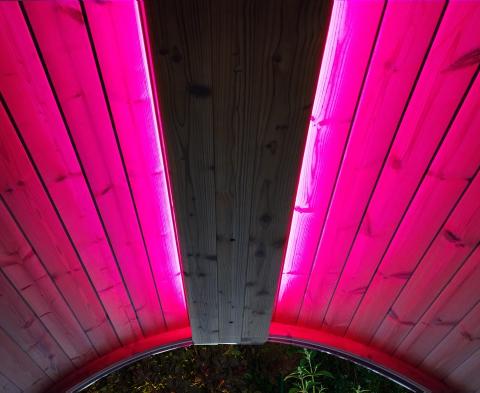 
SaunaLife Color LED Lighting for SaunaLife ERGO Series Barrel Sauna-Sauna Accessories-SaunaKits.com