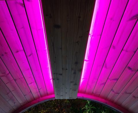 
SaunaLife Color LED Lighting for SaunaLife ERGO Series Barrel Sauna-Sauna Accessories-SaunaKits.com