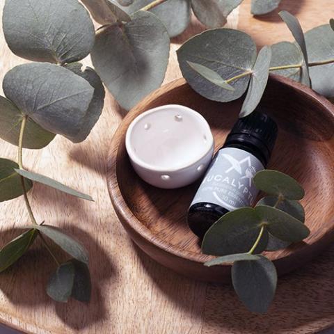 Saunum Aroma Oil Set-Sauna Heater Accessories-Saunum-Eucalyptus-Nordica Sauna