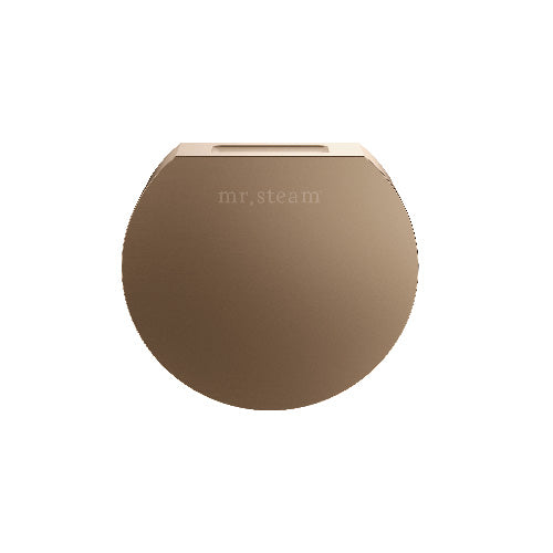 Mr.Steam 104515 Aroma Designer Finish SteamHead Round