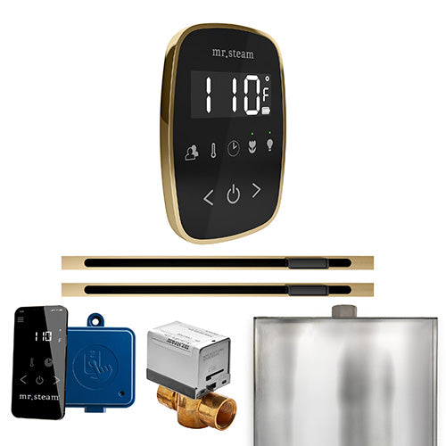 Mr.Steam ButlerFlex Max Linear Control Package
