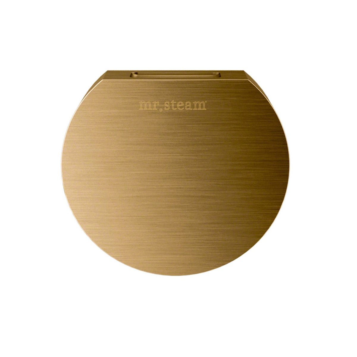 Mr. Steam Aroma Designer Round 3 in. Steam Head-Steam Head-Mr. Steam-Custom Plated/Unfinished-Nordica Sauna