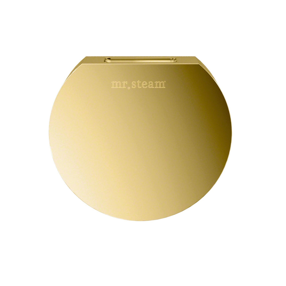 Mr. Steam Aroma Designer Round 3 in. Steam Head-Steam Head-Mr. Steam-Polished Brass-Nordica Sauna