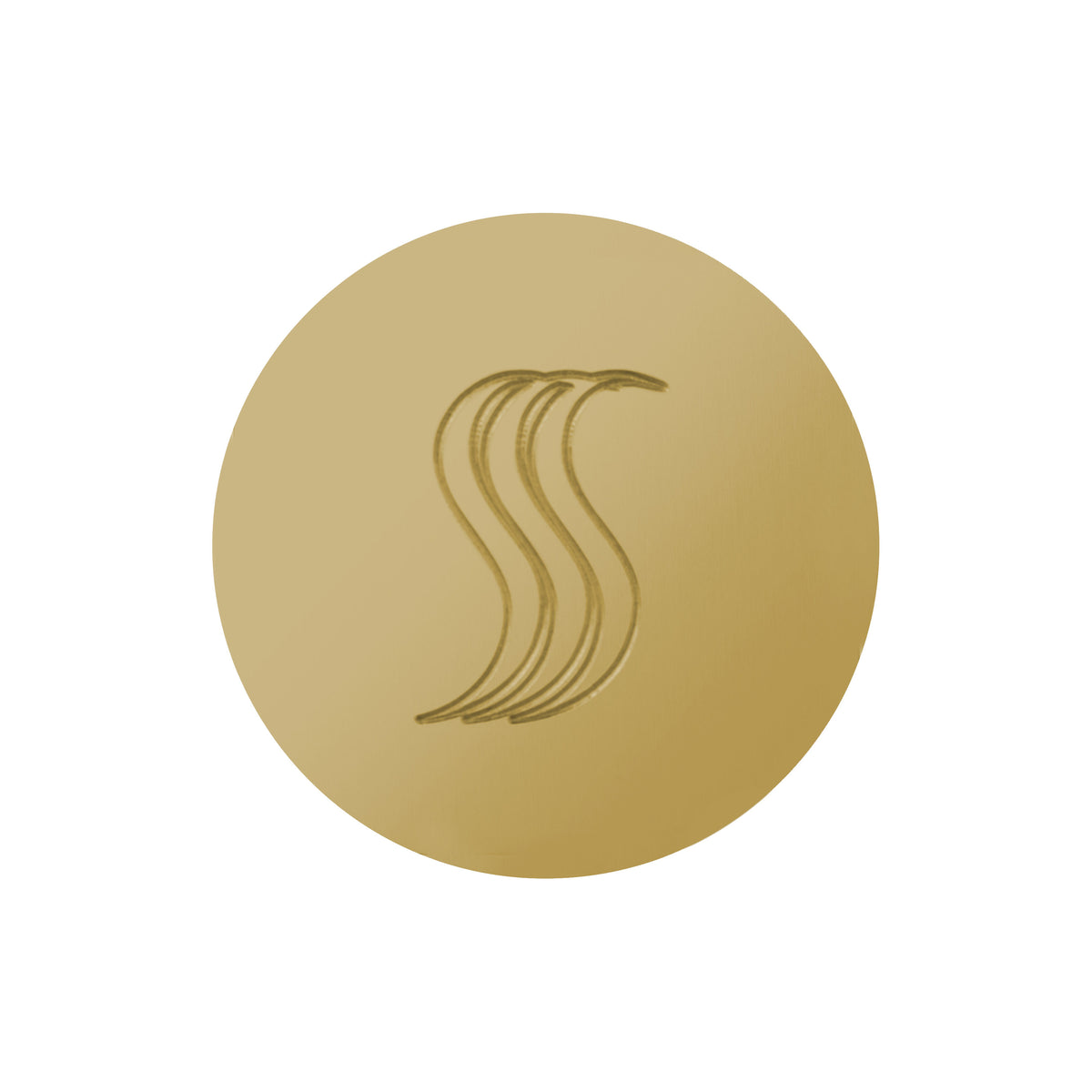 ThermaSol SteamVection Steam Head Round-Steam Shower Controls & Accessories-ThermaSol-Polished Brass-Nordica Sauna