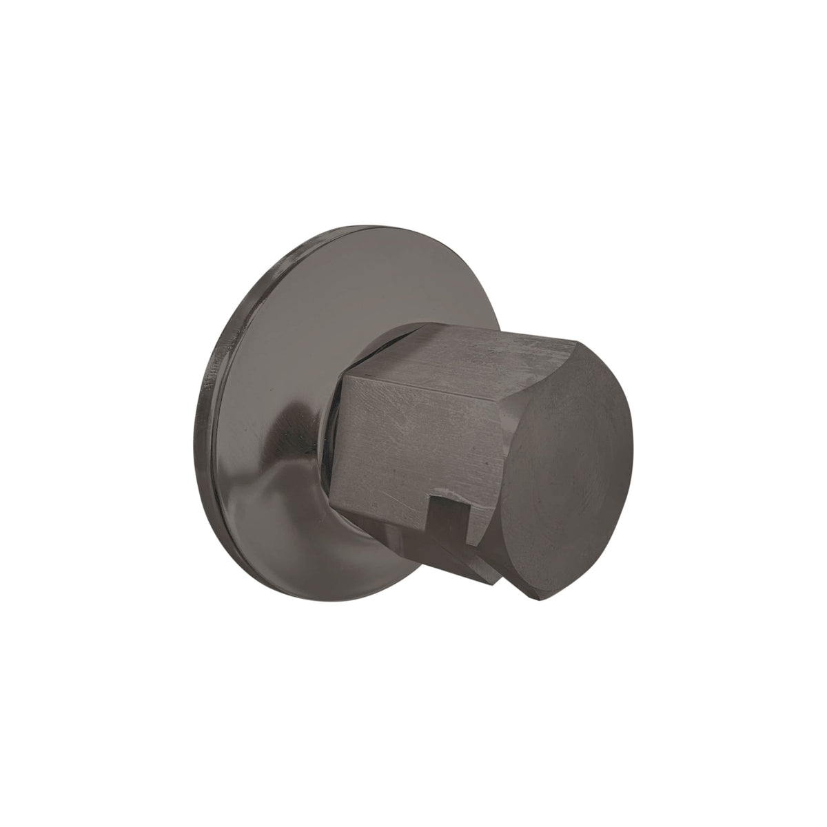 ThermaSol Traditional 3/4" Style Steam Head-Steam Shower Controls & Accessories-ThermaSol-Black Nickel-Nordica Sauna