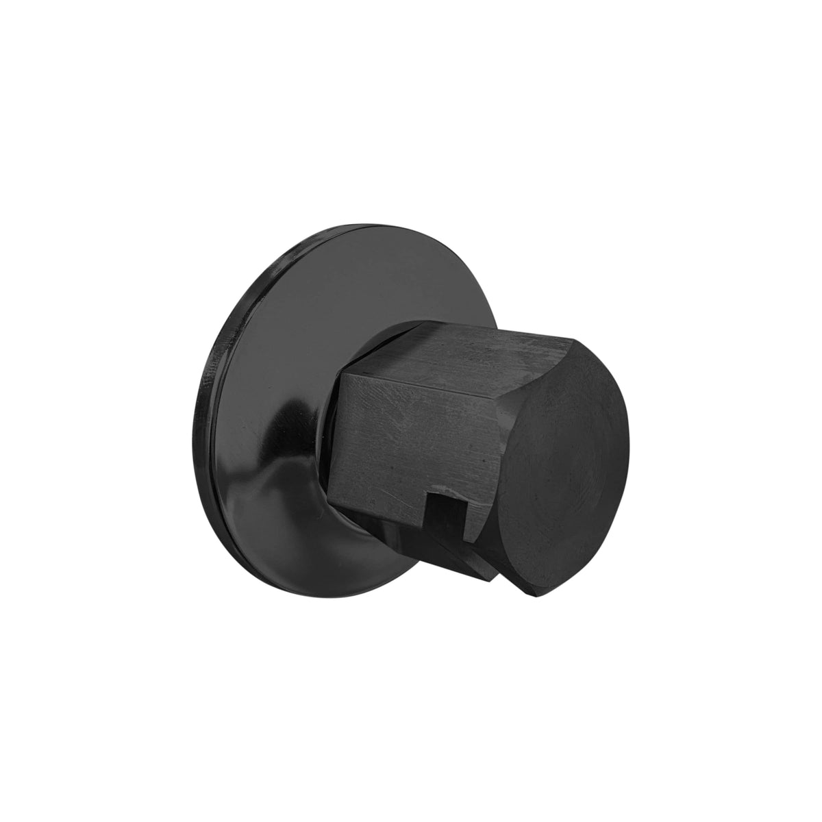 ThermaSol Traditional 3/4" Style Steam Head-Steam Shower Controls & Accessories-ThermaSol-Matte Black-Nordica Sauna