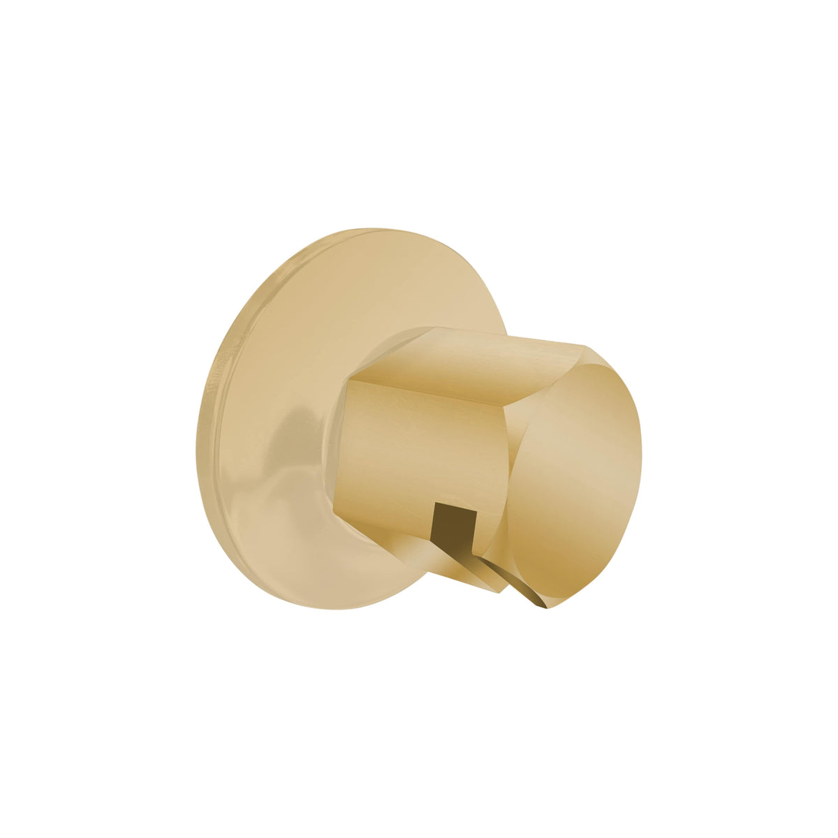 ThermaSol Traditional 3/4" Style Steam Head-Steam Shower Controls & Accessories-ThermaSol-Polished Brass-Nordica Sauna