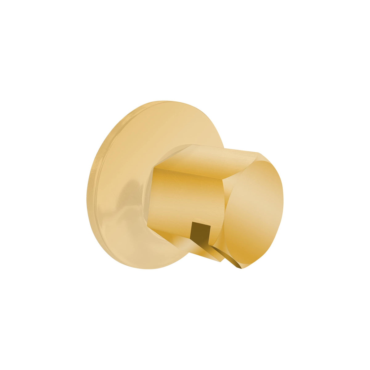 ThermaSol Traditional 3/4" Style Steam Head-Steam Shower Controls & Accessories-ThermaSol-Polished Gold-Nordica Sauna