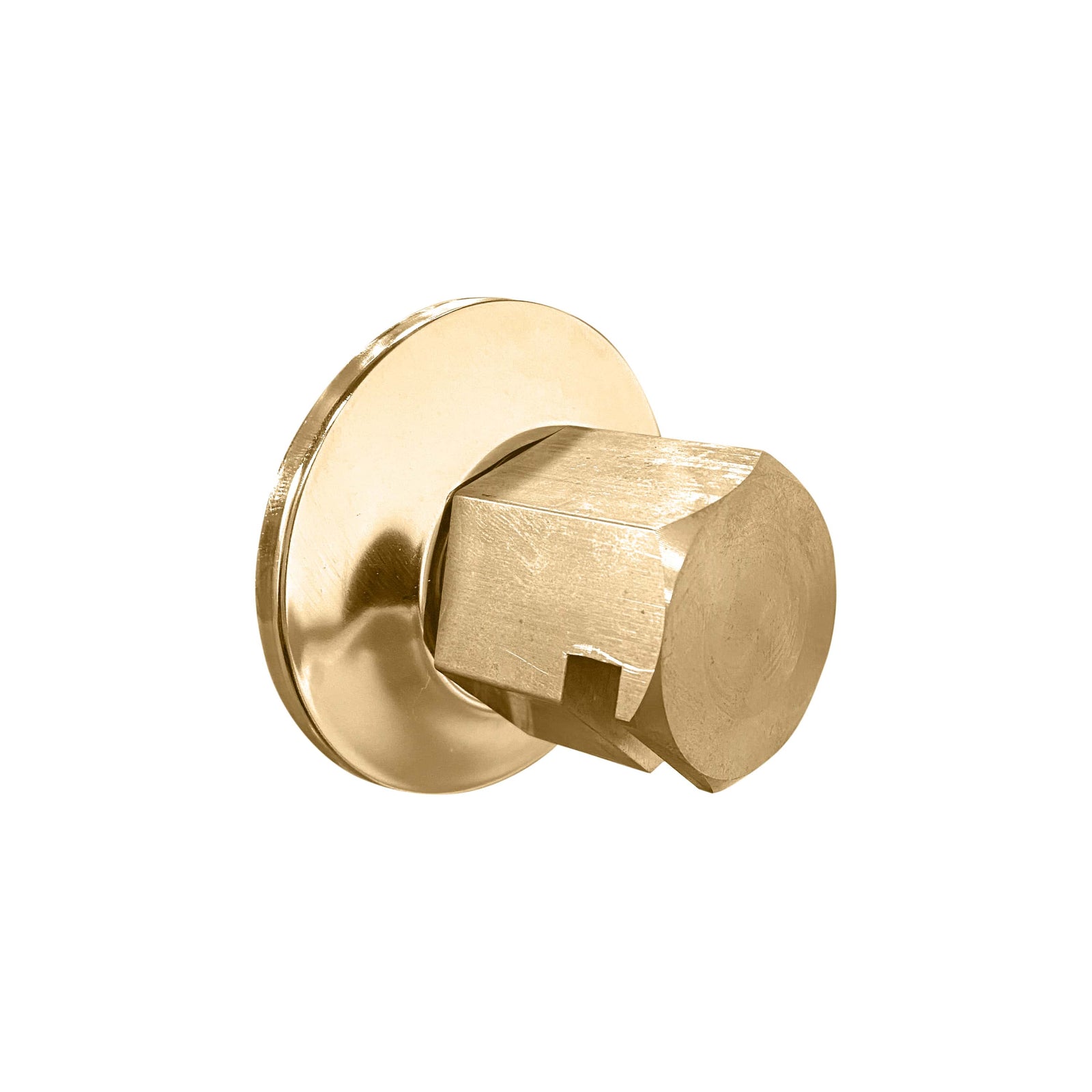 ThermaSol Traditional 3/4" Style Steam Head-Steam Shower Controls & Accessories-ThermaSol-Antique Brass-Nordica Sauna