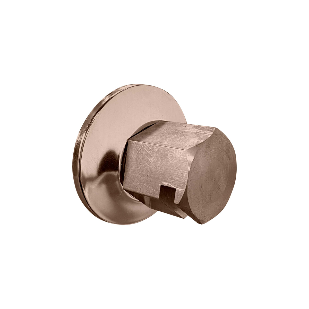 ThermaSol Traditional 3/4" Style Steam Head-Steam Shower Controls & Accessories-ThermaSol-Satin Nickel-Nordica Sauna